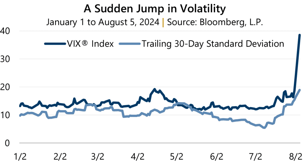 Volatility Briefing – August 2024